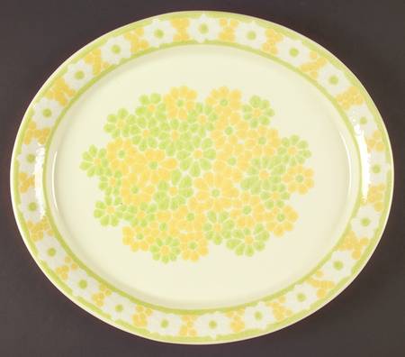 Picnic 14" Oval Serving Platter