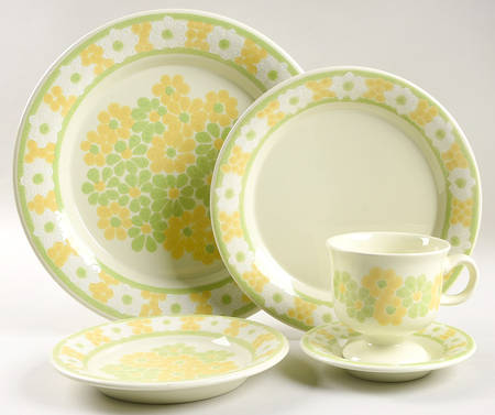 Picnic 5 Piece Place Setting