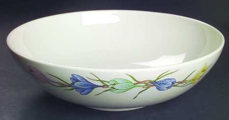 Sierra (Fine China) 10" Large Salad Serving Bowl