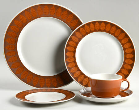 Terra Cotta 5 Piece Place Setting