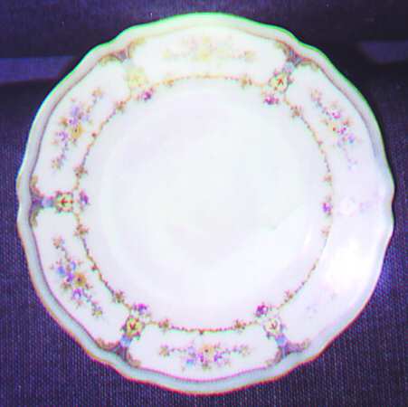 FR24 Dinner Plate