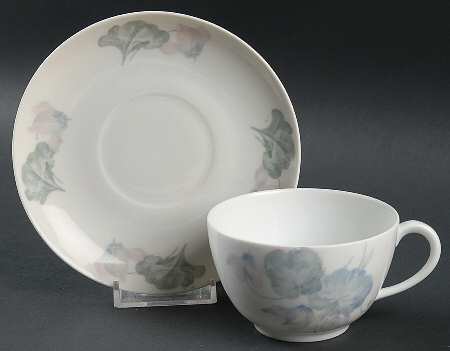 FRA15 Flat Cup & Saucer Set by Fraureuth