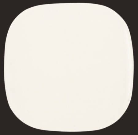 Tiempo White (Salt) by Franciscan