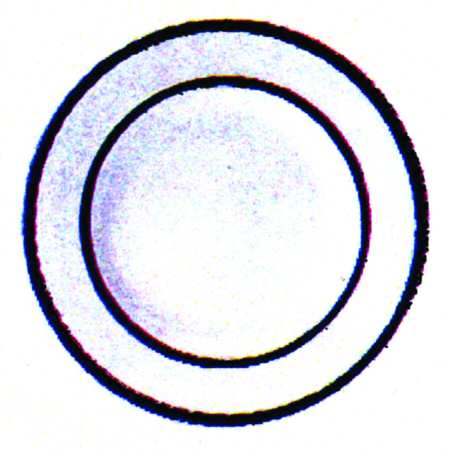 Blue Ribbon by Farberware