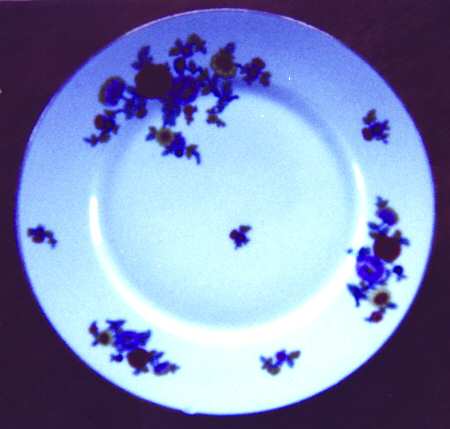 S584 Dinner Plate