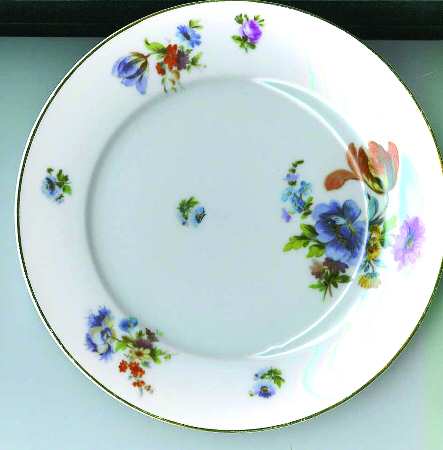 FR174 Dinner Plate