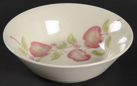 FSI2 Soup/Cereal Bowl