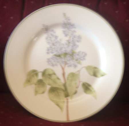 Lilac by Fairfield