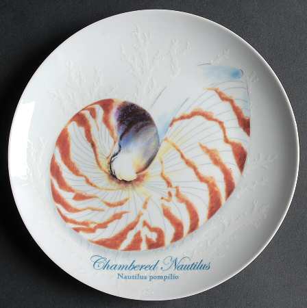 Captiva Salad Plate