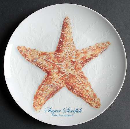 Captiva Salad Plate