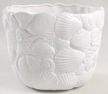 Island Shells White 8" Cachepot