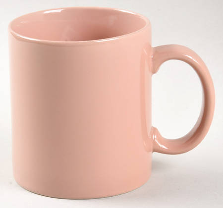 FIT195 Mug