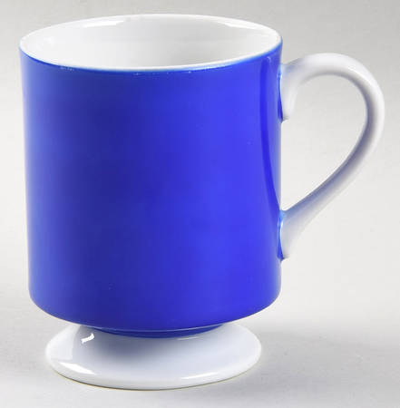 FIT195 Blue Mug