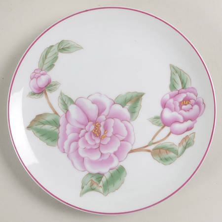 FIT204 Salad Plate by Fitz and Floyd