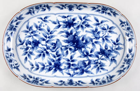 FIT205 13" Oblong Tray