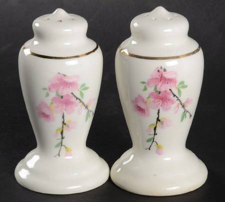 Peach Blossom (Bolero) Salt & Pepper Set