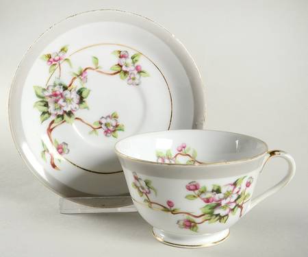 Apple Blossom Footed Cup & Saucer Set by Gold China