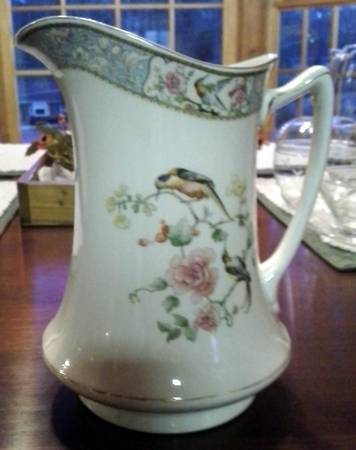 Baroda Pitcher
