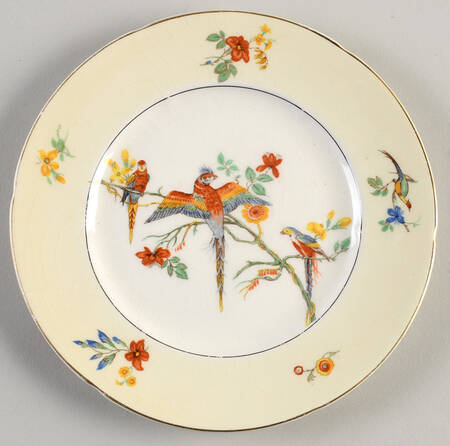 The Gay Macaw Dessert/Pie Plate