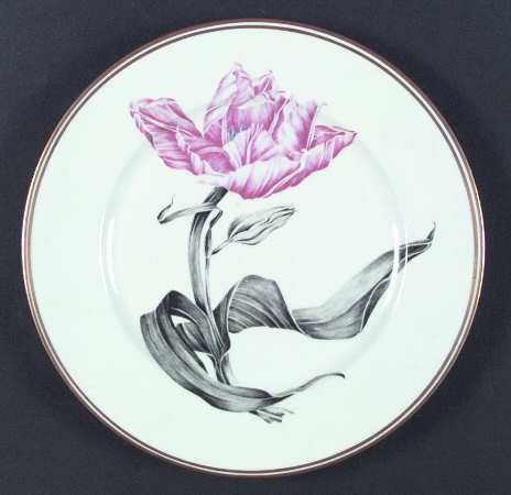 Tulipa by Bill Goldsmith