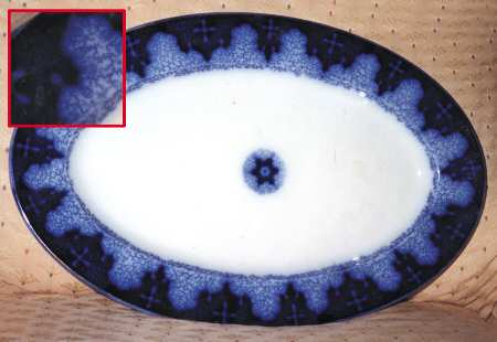 Persian Moss Gold 14" Oval Serving Platter