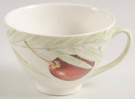 Exotic Flat Cup