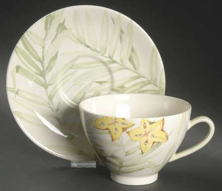 Exotic Breakfast Cup & Saucer Set