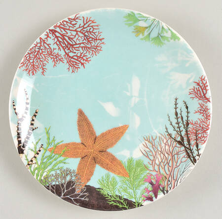 Ocean Canape Plate