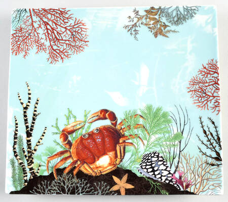 Ocean 11" Square Plate