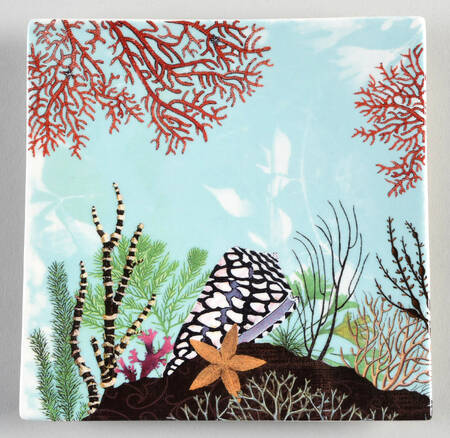 Ocean 6" Square Plate