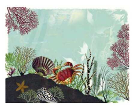 Ocean 12" Acrylic Rectangular Tray