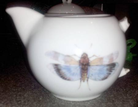 Dragonfly Teapot No Lid