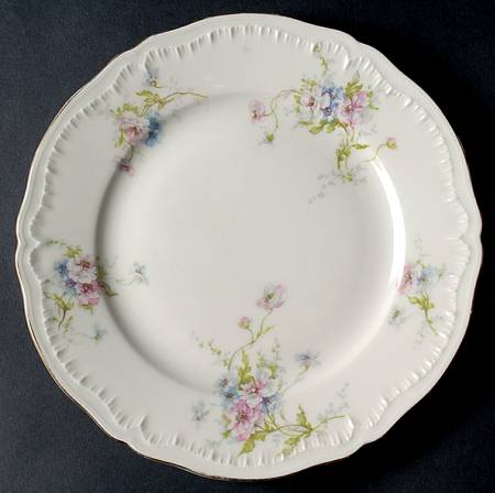 Annette Luncheon Plate by Haviland