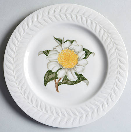 Camellia Luncheon Plate