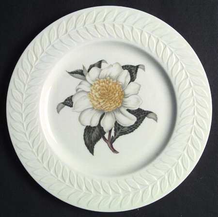 Camellia by Haviland