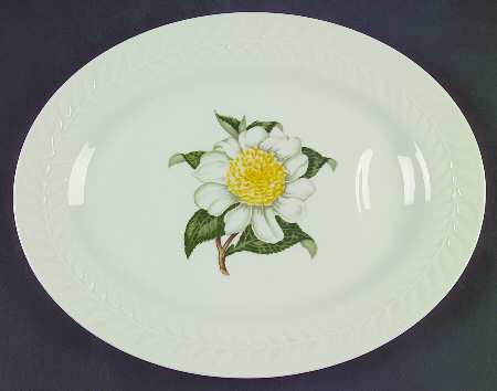 Camellia 11" Oval Serving Platter by Haviland