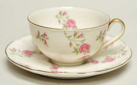 Delaware (New York) Flat Cup & Saucer Set