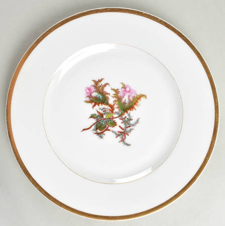 Moss Rose (Thick Gold Trim) by Haviland