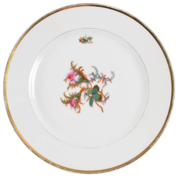 Moss Rose (Thick Gold Trim) Dinner Plate by Haviland