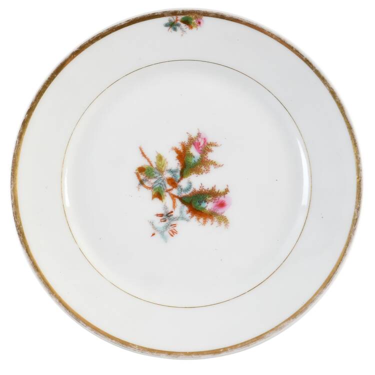 Moss Rose (Thick Gold Trim) Salad Plate