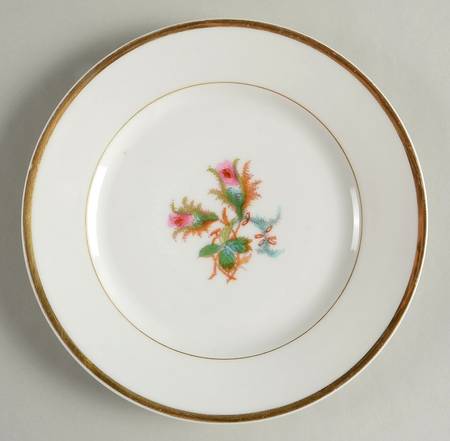 Moss Rose (Thick Gold Trim) Luncheon Plate
