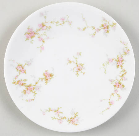 Pink Spray Coupe Salad Plate