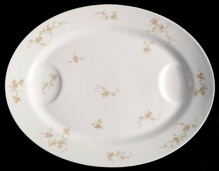 Pink Spray 18" Oval Serving Platter
