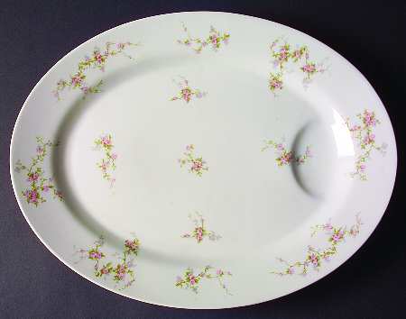 Pink Spray 16" Oval Serving Platter