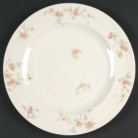 Pink Spray Dinner Plate
