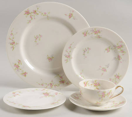 Pink Spray 5 Piece Place Setting