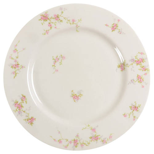 Pink Spray Dinner Plate