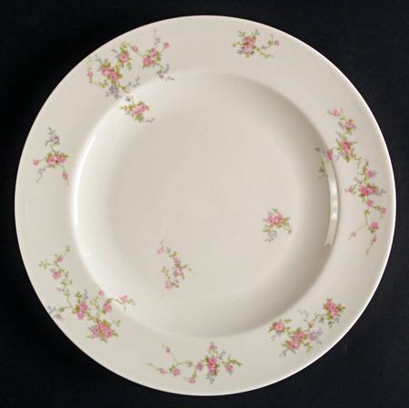 Pink Spray Dinner Plate
