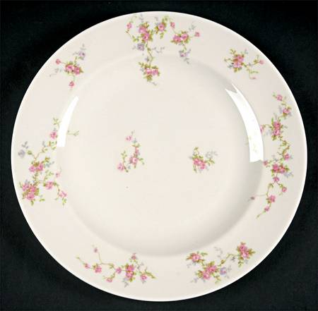 Pink Spray by Haviland