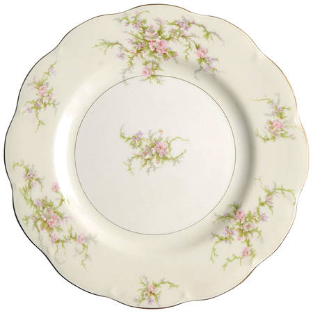 Large Dinner Plate